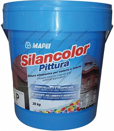     Silancolor Paint